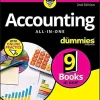 Accounting All-in-One For Dummies with Online Practice (B5) (2nd Edition)