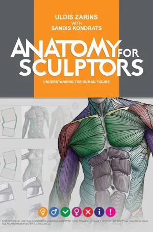 Anatomy for Sculptors Understanding the Human Figure (B5) (Color)