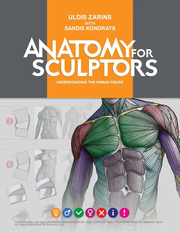 Anatomy for Sculptors Understanding the Human Figure (B5) (Color)