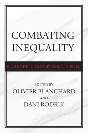 Combating Inequality: Rethinking Government's Role