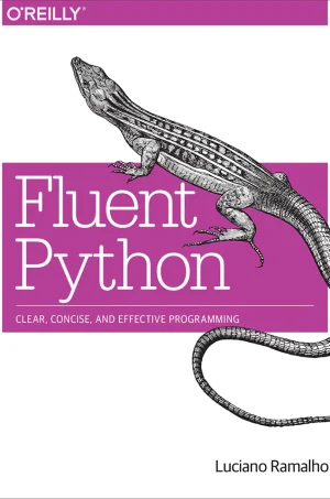 Fluent Python (B5)