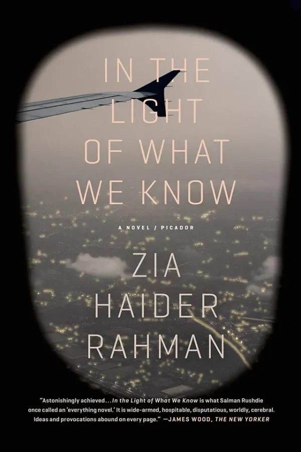 In the Light of What We Know: A Novel