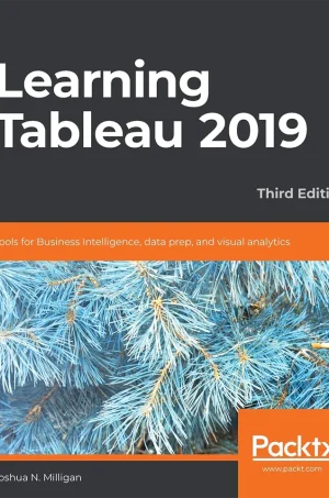 Learning Tableau 2019 Tools for Business Intelligence, data prep, and visual analytics (B5)