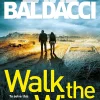 Walk The Wire (Amos Decker Series #6)