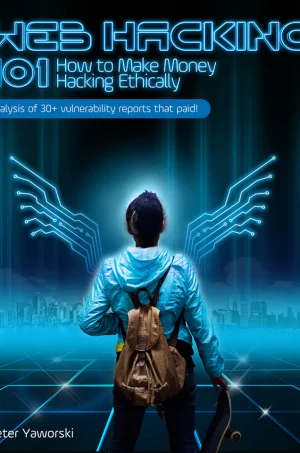 Web Hacking 101: How to Make Money Hacking Ethically