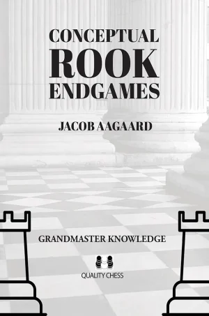 Conceptual Rook Endgames (B5)