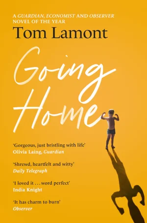 Going Home: A Novel of Boys, Mistakes, and Second Chances