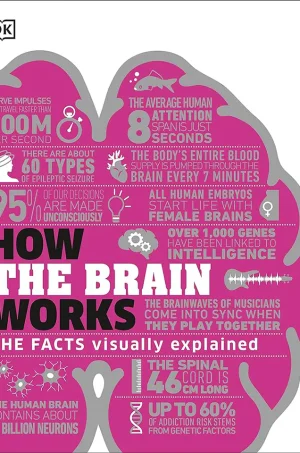 How the Brain Works: The Facts Visually Explained (B5) (Graphic) (Color)