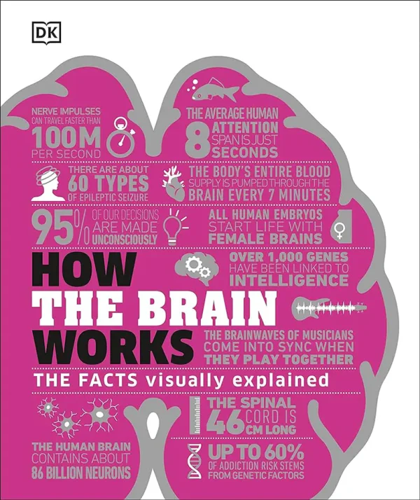 How the Brain Works: The Facts Visually Explained (B5) (Graphic) (Color)