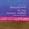Philosophy in the Islamic World: A Very Short Introduction (1st Edition)