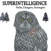 Superintelligence: Paths, Dangers, Strategies