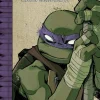 Teenage Mutant Ninja Turtles: The IDW Collection Volume 4 (B5) (Graphic) (Color)